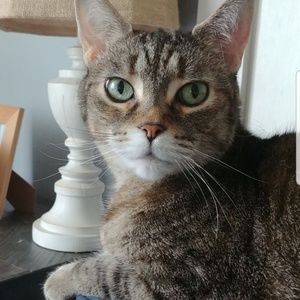 Meet your Posher, Leah